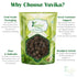Yuvika Mirch Kankol - Tailed Pepper
